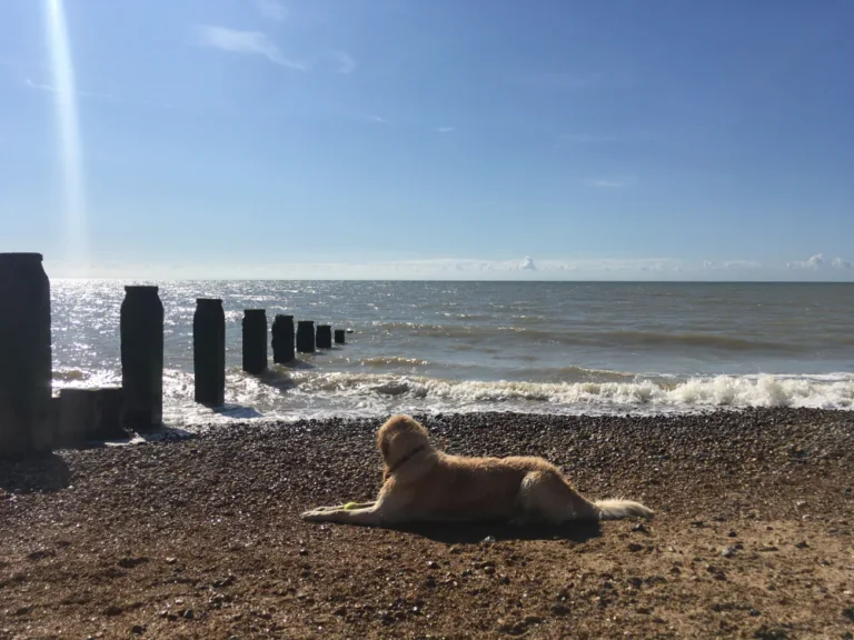 Winchelsea