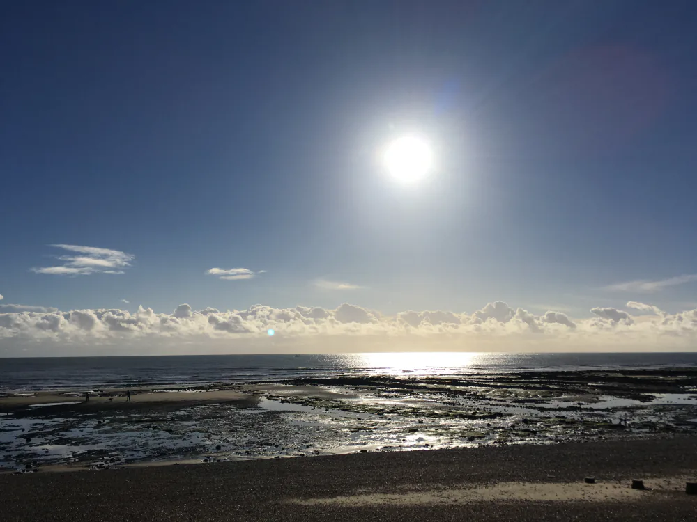 Pett